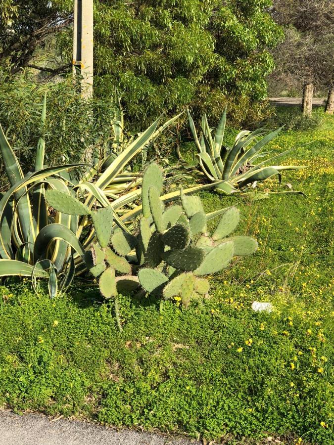 Quinta Verde Albufeira Exteriör bild