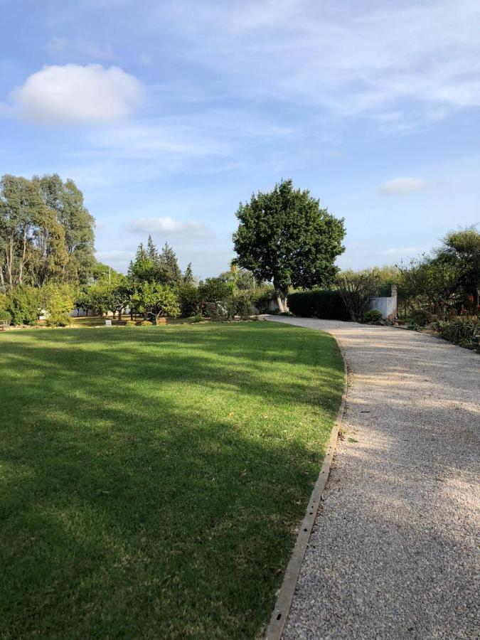 Quinta Verde Albufeira Exteriör bild