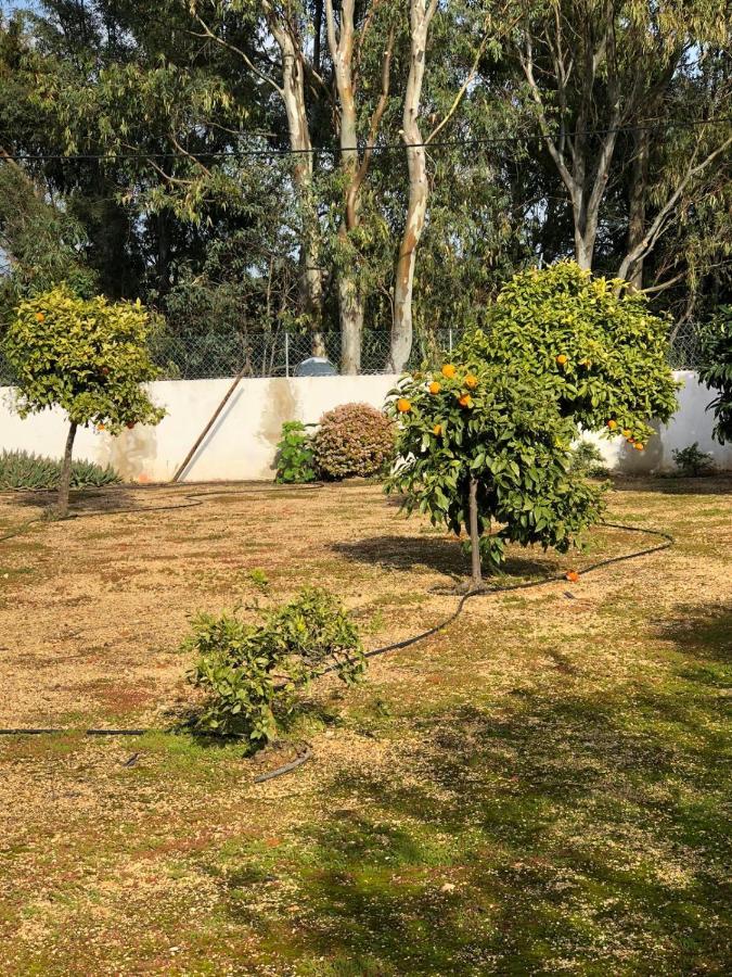 Quinta Verde Albufeira Exteriör bild